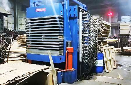 2024 год. Пресс для сушки шпона в Нижегородской области