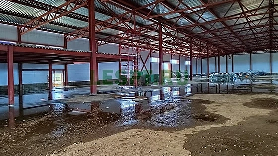 2022 год. Производство столовых приборов из шпона в Ярославской области